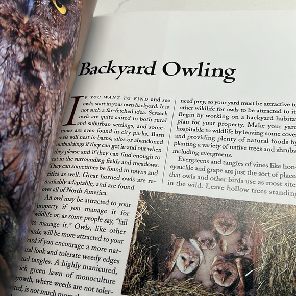 🌻4/$20 Vintage How to Spot An Owl Softcover 1994 Softcover Book Chapters Publ - Picture 10 of 16